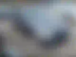 Vehicle Image- 2007 BMW Seria 3