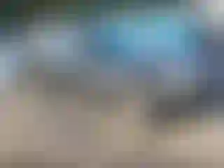 Vehicle Image- 2007 BMW Seria 3