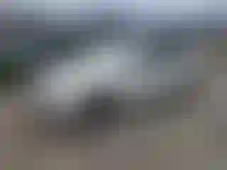 Vehicle Image- 2007 BMW Seria 3