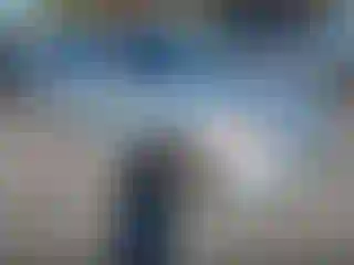 Vehicle Image- 2007 BMW Seria 3