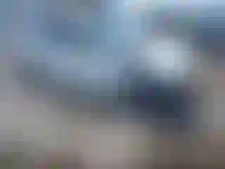 Vehicle Image- 2006 BMW Seria 3