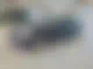 Vehicle Image- 2006 BMW Seria 3