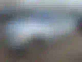 Vehicle Image- 2008 BMW Seria 3