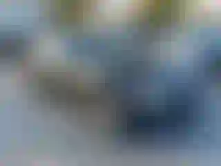 Vehicle Image- 2007 BMW Seria 3