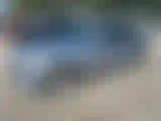 Vehicle Image- 2009 BMW Seria 3