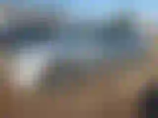 Vehicle Image- 2007 BMW Seria 3