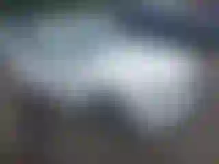 Vehicle Image- 2008 BMW Seria 3