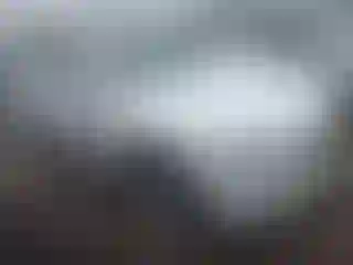 Vehicle Image- 2013 BMW Seria 5