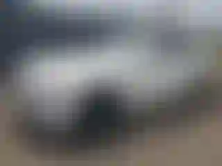 Vehicle Image- 2013 BMW Seria 5