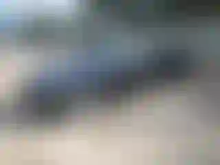 Vehicle Image- 2013 BMW Seria 7