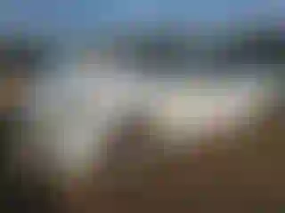 Vehicle Image- 2015 BMW Seria 7