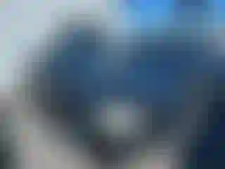 Vehicle Image- 2014 BMW Seria 7