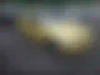 Vehicle Image- 2016 BMW M4