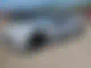 Vehicle Image- 2019 BMW Seria 1