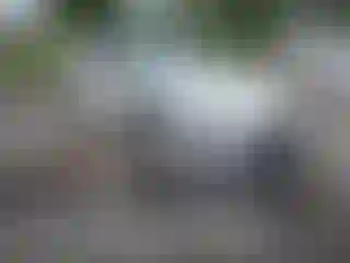 Vehicle Image- 2024 BMW i4