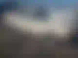 Vehicle Image- 1982 Mercedes Benz 300