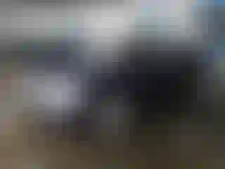 Vehicle Image- 2001 Mercedes Benz Klasa S