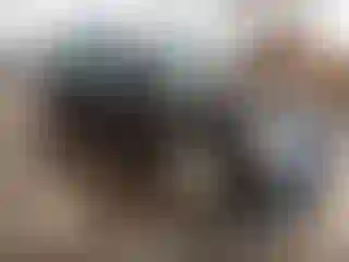 Vehicle Image- 2005 Mercedes Benz Klasa C