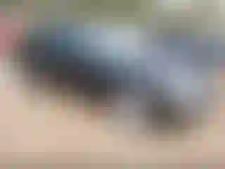 Vehicle Image- 2004 Mercedes Benz Klasa C