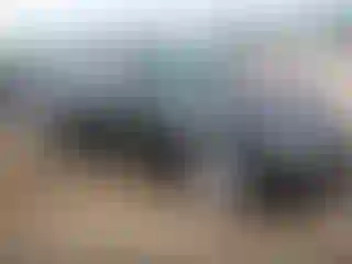 Vehicle Image- 2004 Mercedes Benz Klasa C