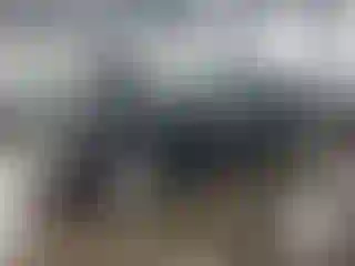 Vehicle Image- 2005 Mercedes Benz Klasa E