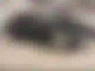 Vehicle Image- 2009 Mercedes Benz Klasa C