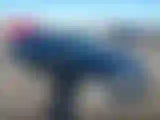 Vehicle Image- 2012 Mercedes Benz Klasa C