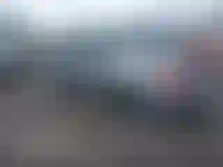 IMPORTOWO.pl