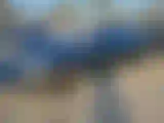 Vehicle Image- 2007 Mercedes Benz Klasa S