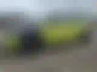 Vehicle Image- 2023 Mini Cooper