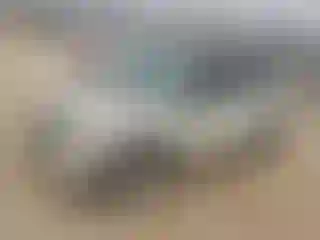 Vehicle Image- 2009 Mini Cooper