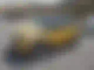 Vehicle Image- 2008 Mini Cooper