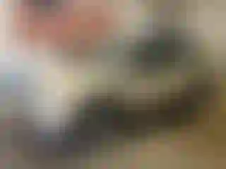 Vehicle Image- 2005 Mini Cooper