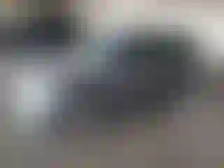 Vehicle Image- 2004 Mini Cooper