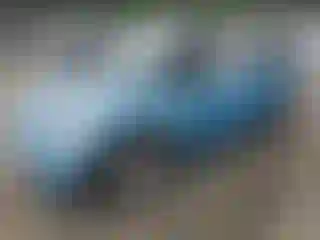 Vehicle Image- 2003 Mini Cooper