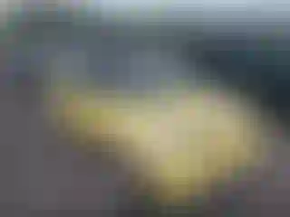 Vehicle Image- 2005 Mini Cooper