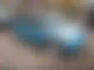 Vehicle Image- 2005 Mini Cooper