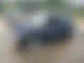 Vehicle Image- 2006 Mini Cooper