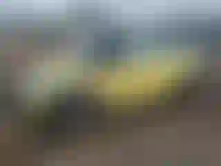 Vehicle Image- 2011 Mini Cooper