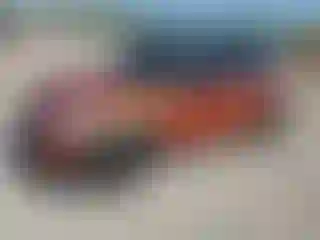 Vehicle Image- 2011 Mini Cooper