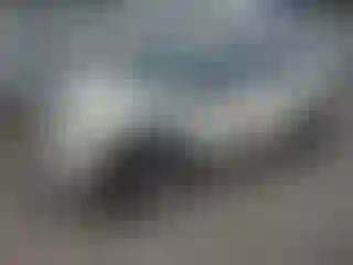 Vehicle Image- 2011 Mini Cooper