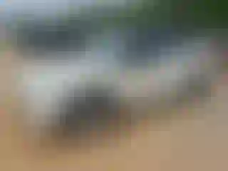 Vehicle Image- 2017 Mini Cooper
