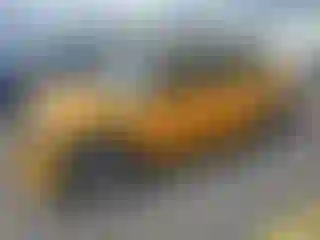 Vehicle Image- 2016 Mini Cooper
