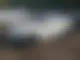 Vehicle Image- 2016 Mini Cooper