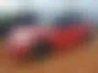 Vehicle Image- 2015 Mini Cooper