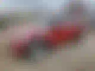 Vehicle Image- 2015 Mini Cooper