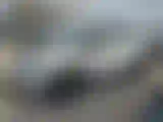 Vehicle Image- 2013 Mini Cooper