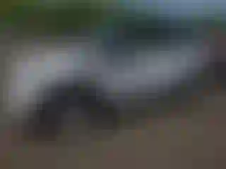 Vehicle Image- 2014 Mini Cooper