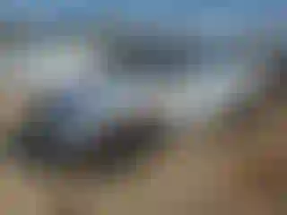 Vehicle Image- 2016 Mini Cooper