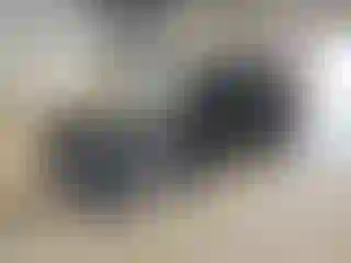 Vehicle Image- 2019 Mini Cooper